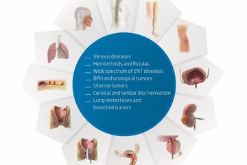 biolitec_Blume_englisch